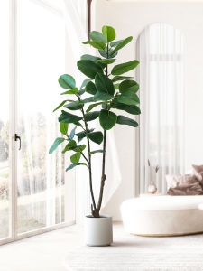 Indoor Living Room Sofa Side Bonsai Decorative Fake Tree Pot Landscape Roman Mom Brand Green Leaf Indestructible Plant Ornament