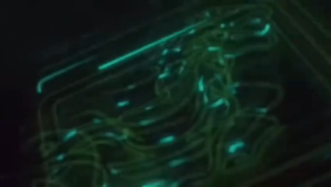 Jangka Sorong Sigmat Manual Pengukur 6 ~ 12" inch - High Precision Vernier Caliper TEKIRO