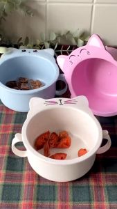 Terensu Bowl - Cat - Tempat Makan Anak
