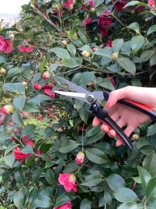 Garden fruit tree pruning shears zinc aluminum alloy coarse branch horticultural shears