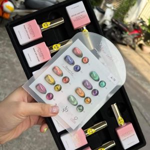 Set sơn gel mắt mèo 9 màu Vendeeni A79 ( tặng kèm bảng màu )