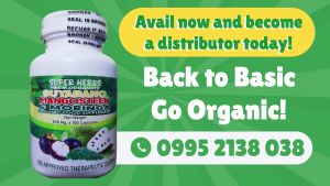 3 IN 1 SUPERHERBS HERBAL ORGANIC FOOD SUPPLEMENT - MORINGA-GUYABANO-MANGOSTEEN ANTI DIABETES ANTI CANCER ANTI HYPERTENSION