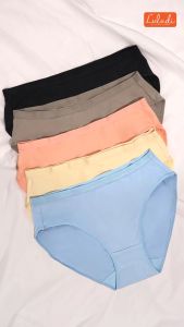 Luludi Panty Saver Pack LP 5020A - Brushing Fabric - Midi Brief