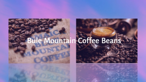 Premium Jamaica Blue Mountain Coffee Beans – 150g 250g 500g Bag | 100% Arabica | Roasted in Japan