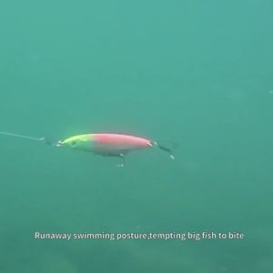 เหยื่อตกปลา เหยื่อปลอม กระดี่เหล็ก3มิติ 55มม. เหยื่อตกปลาทะเล เหยื่อตกปลาเขื่อน เหยื่อตกปลาแม่น้ำ เหยื่อปลอมพลาสติก Fishing bait SP112