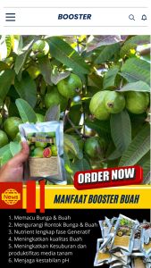 Booster Tanaman Jambu Biji / Pupuk Booster Hayati Khusus Tanaman Jambu Biji