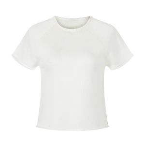 Slightly See-through Mesh Raglan Sleeve Short Top
