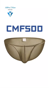 Mens Brief : Bikini Mesh Underwear (Clever Menmode CMF500)