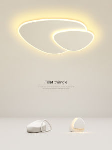 Creative Personality Modern LED Ceiling Light