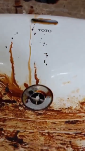 Plant-Based Cleaner Multi-Purpose Cleaner Tile Cleaner Stain Remover Window Cleaner Mighty Clean Sink Faucet Tiles Washbasin Toilet Cleaning Multi-Purpose Degreaser Stainless Cleaner  Lasting Shine  Kitchen Cleaning Spray