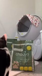 Chawa ทรายแมวเต้าหู้และผักตบชวา Organic ขนาด 10 ลิตร (4.5กก)