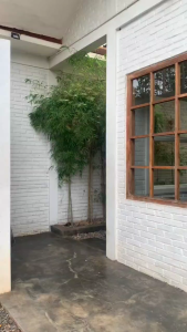 Kemeja Pria Lengan Panjang .ATASAN BATIK MOTIF Murai Merah Murai Hitam Murai Biru Kemeja-Batik-Lengan-Panjang-Baju-Kemeja-Batik-Pria-ModernAtasan-Kemeja-Batik-Pria-Model-Slimfit-Lengan-Panjang-Premium-Pekalongan-Baju-Kemeja-BatikKemeja-Batik-Pria-Baju-B