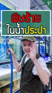 RQ ลดคลอรีน RQ Contract Chlorine (ขนาด 120 cc) BY วสันต์อุปกรณ์ปลาสวยงาม