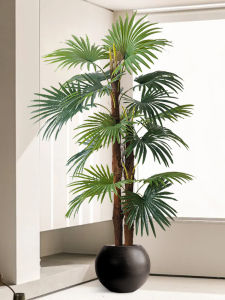 High-end Luxury Decorative Artificial Areca Large