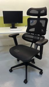Newstar Luxe Ergonomic Chair Office Chair Office Furniture Black Roller Chair Ergonomic Chair - NewStar Furniture