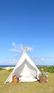 Two Mix - Baju Bayi Laki Lucu - Jumper Romper Bayi Cowok 0-12 Bulan 4320