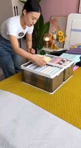 Storix PET Material Pullable Storage Box with Removable Partition Compartment Wardrobe Organizer Drawer Stackable