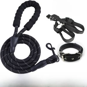 Extended 2m 3m Dog Leash for Walking Small Medium Large Dogs Golden Retriever Teddy Pet Chain Non-Extensible Dog Rope