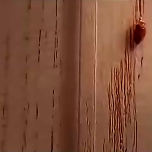 Ants repellent Combat ant killer Safe & Non-toxic Cockroach/Lizard/Mosquito pest repellent eliminate ants totally