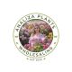 Analiza Plants Wholesaling