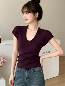 PEIXI | Elegant French Purple V-neck Slim Fitting Short Sleeve Knitwear