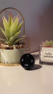 Aegloc Kunci Cam Digital Pintar (AEG‑SDL‑CL123)