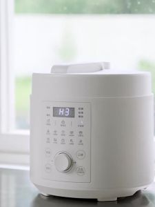 Olayks | Nồi Áp Suất Điện Không Phủ 5L