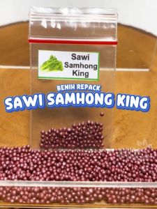 Benih Sawi Samhong King Unggulan Berkualitas