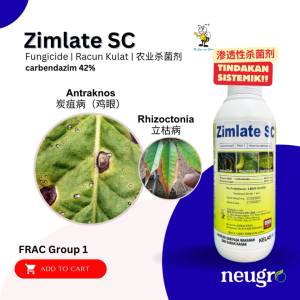Brightonmax Zimlate SC 1L Carbendazim 42% Fungicide Racun Kulat Antraknos Hawar Bintik Daun Kulapuk Downy