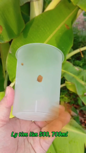Cốc nhựa Ly Nhựa Tim Lùn 500ml 700ml - Gói 100 Cái - Nhựa Cứng Trắng Nhám - Hàng Nhập Khẩu