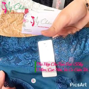 Quần Lót Nữ Ren Thun Lạnh Thái Lan SISTER HOOD 431 Chíp Mềm Mại Trẻ Trung Dễ Thương Cạp Quần Cao - Hàng Nhập Khẩu -  Mỹ Châu Shop