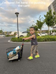 YUANZHENQICAI | Portable Pet Shopping Trolley