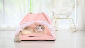 Lều Ngủ Nhà Ngủ cho Chó Mèo Có Thể Tháo Rời Dễ Dàng Vệ Sinh (Hàng cao cấp Có cửa sổ)