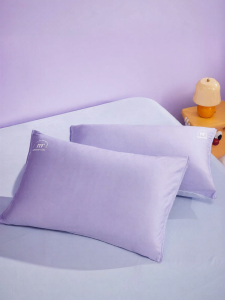 Mercury | Antibacterial Hypoallergenic Moisture Wicking Pillowcase