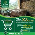 Bồn tắm đá cuội nguyên khối Tâm An Stone. 