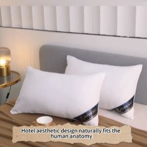 high quality 1KG/1000g Hilton Hotel Feather velvet unan Pillow Soft and skin-friendly wicking moisture 48x74cm
