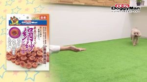 Bánh Thưởng Cho Chó Gà Nướng Mềm SAYA Doggyman 100g