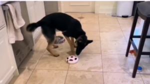 Smart Puppy Toys Interactive Electronic Dog Toys Ball Funny Self-moving Soccer Toy