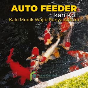 Auto Feeder Otomatis Ikan Koi Kucing Anjing dll Memberi Pakan Ikan Otomatis PG BGR