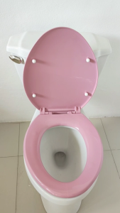 ฝารองนั่งชักโครก Fuji รุ่น K-1262 ⨌ ทรงยาวรี ฝาชักโครกใส่กับโถชักโครกทรงยาว(มีชุดน๊อตพร้อมประกอบ) หนาแข็งแรงใช้ได้กับโถราดและมีถังกดน้ำ