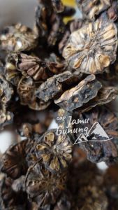 Buah Mengkudu Kering 50gr Higienis dan Organik