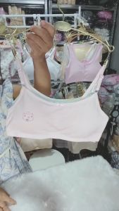 เสื้อในเด็ก เสื้อในเด็ก 9-15 ปี เสื้อในเด็ก วัยรุ่น ชุดชั้นใน เสื้อในเด็ก นักเรียน