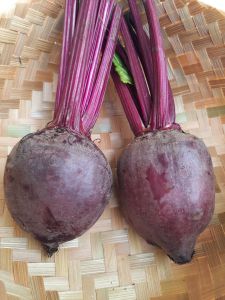 Buah Bit Segar 1kg - Beetroot termurah