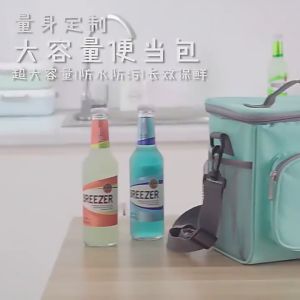 HomiesTrends Lunch Box for Adults Retain Freshness Thermal Bag New Oxford Cloth Shoulder Lunch Bags Portable Outdoor Picnic Bento Handbags