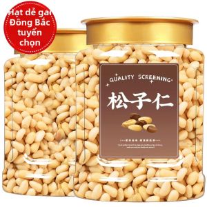 Fresh Northeastern Big Size Premium Commercial Baking Pine Nuts