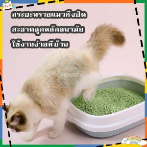 กระบะทราย กะบะทรายแมว กระบะทรายแมว พร้อมที่ตักทราย ห้องน้ําแมว ห้องน้ําแมวใหญ่ พร้อมที่ตักทราย ถาดทรายแมว