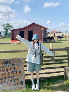 Kitty Cat Collaborative Long Sleeve T-Shirt Womens Autumn Pure Cotton Base Shirt Shoulder Width Sweatshirt Loose plus Size Top