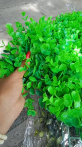 หญ้าแผ่นเทียม ขนาด 50×50 ทนทานและหนาแน่นมาก จัดสวนแนวตั้ง ติดผนัง ใช้จัดสวนทั้งภายในและภายนอก