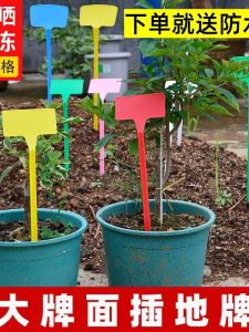 Large Plastic Garden Plot Markers Flat Surface Agricultural Corn Experiment Field Indicator Sign Combination Plant Label