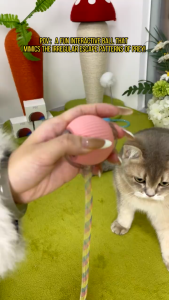 Smart lnteractive cat Toy Ball with Chirping USB Rechargeable Moving Dog Ball with Elastic Mesh Tail